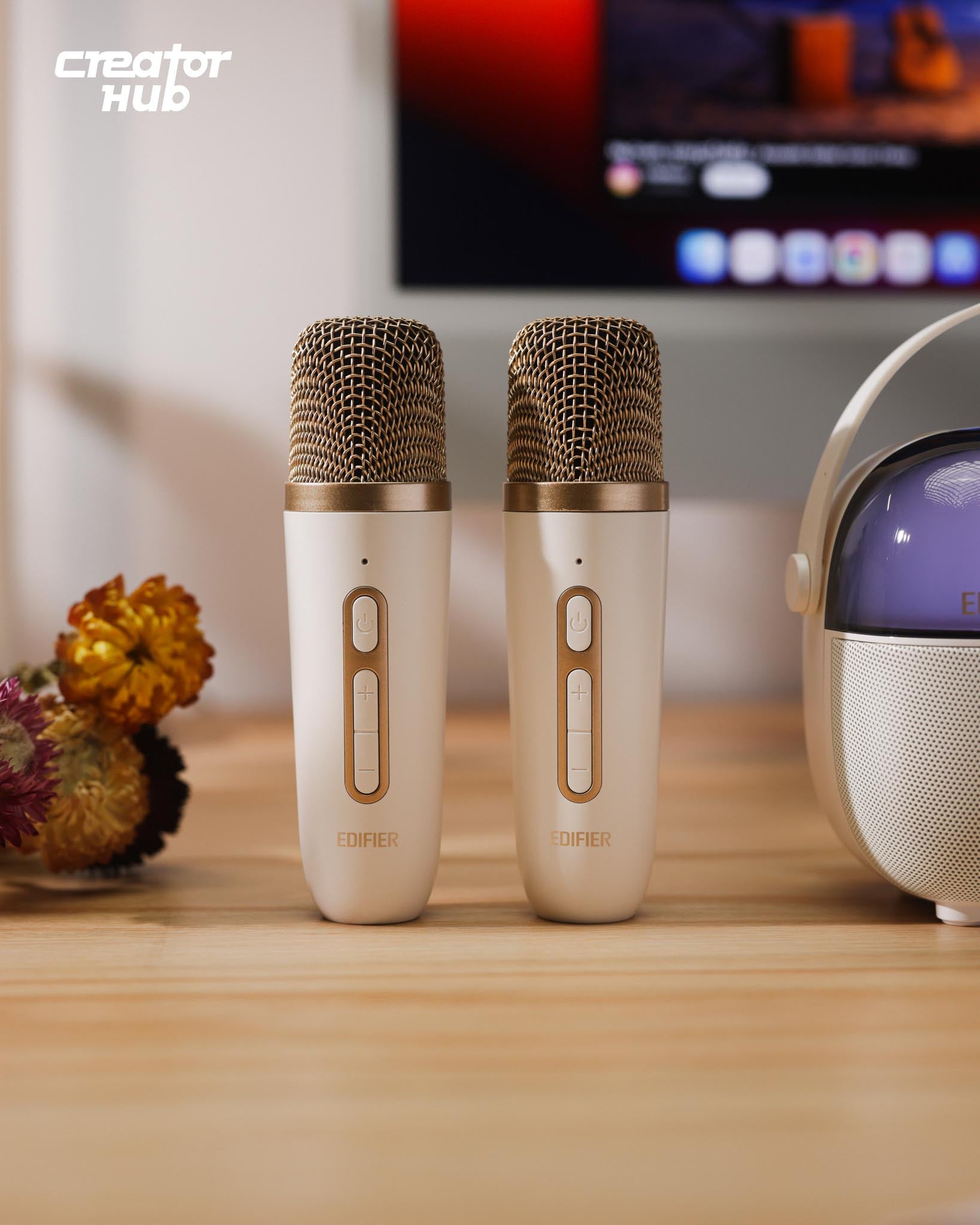 Edifier Q3 Speaker and Karaoke