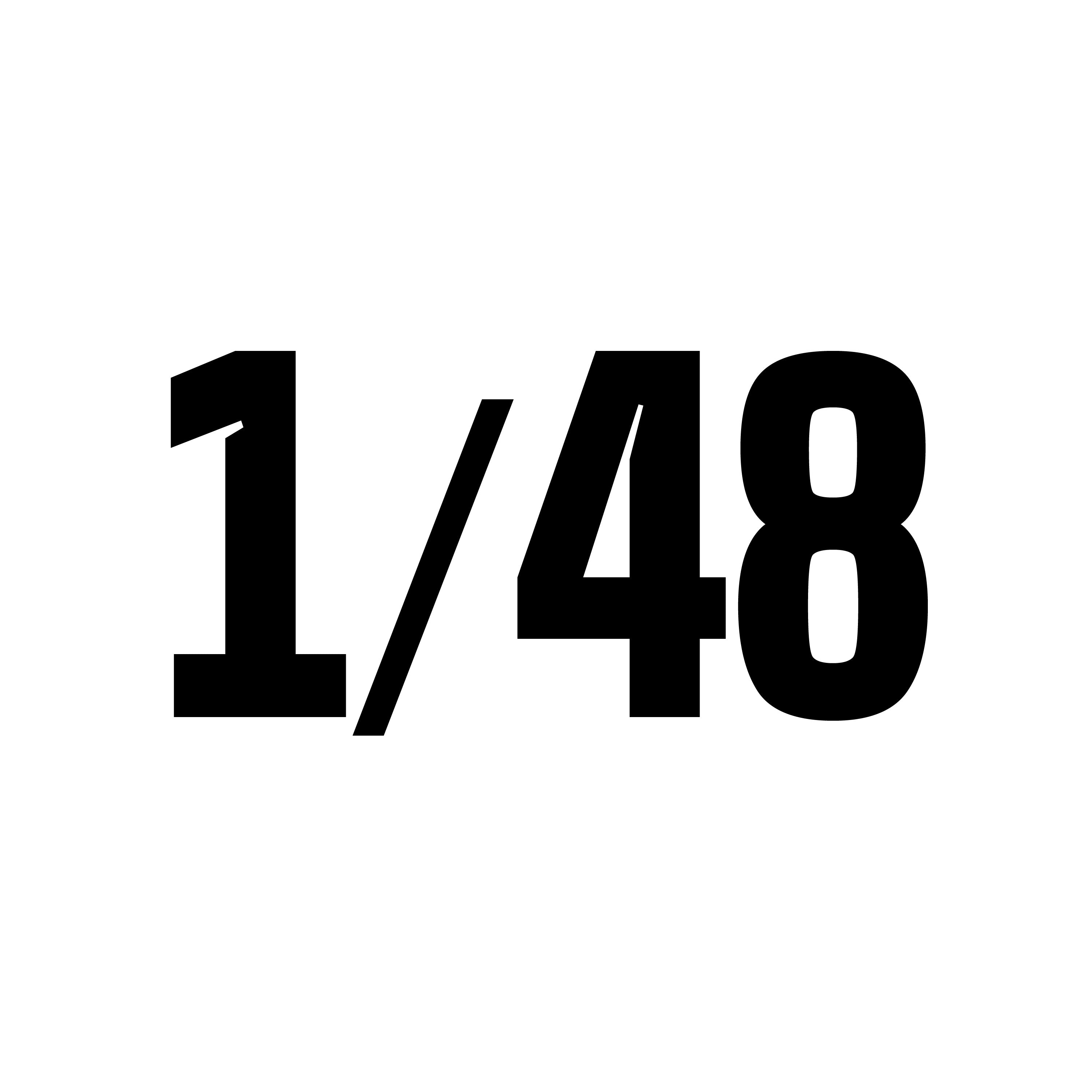 48.jpg