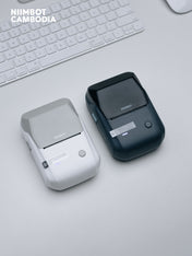 NIIMBOT B1