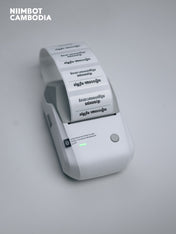 NIIMBOT B1