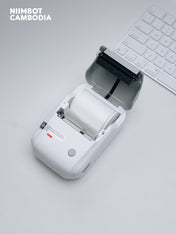 NIIMBOT B1
