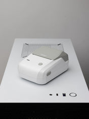 NIIMBOT B1
