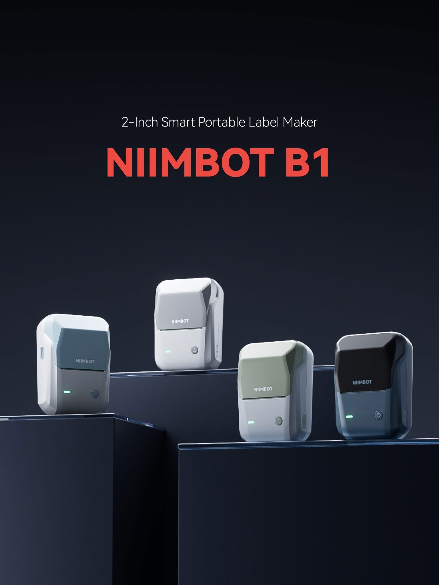 NIIMBOT B1