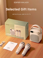 Edifier P203S Speaker and Karaoke