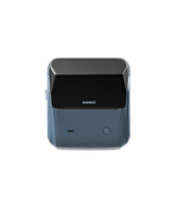 NIIMBOT B31