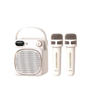 Edifier P203S Speaker and Karaoke