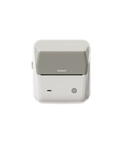 NIIMBOT B31