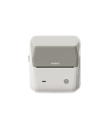 NIIMBOT B31