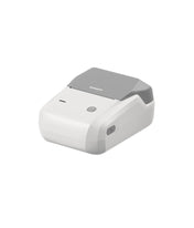 NIIMBOT B1