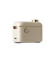 NIIMBOT H1S